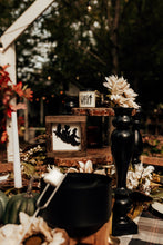 Load image into Gallery viewer, TIERED TRAY KIT